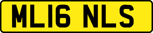 ML16NLS