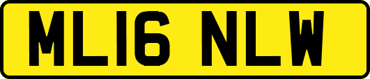 ML16NLW