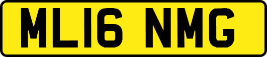 ML16NMG