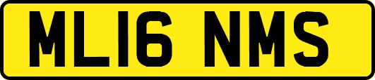 ML16NMS
