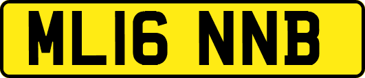 ML16NNB