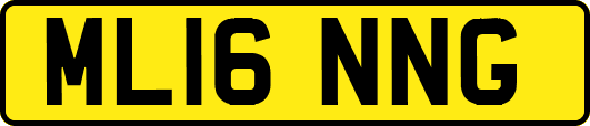 ML16NNG