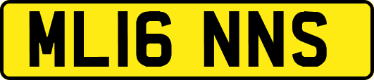ML16NNS