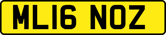 ML16NOZ