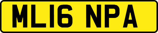 ML16NPA