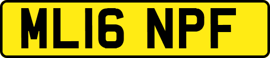 ML16NPF