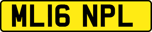 ML16NPL