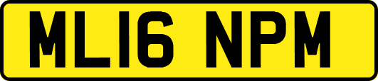 ML16NPM