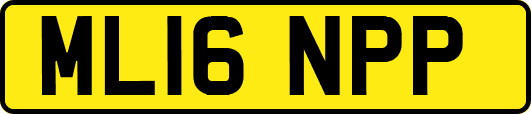 ML16NPP