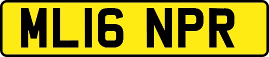 ML16NPR