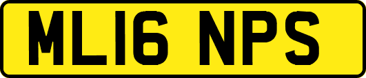 ML16NPS