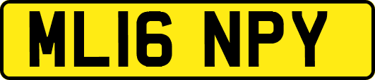 ML16NPY