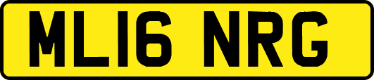 ML16NRG