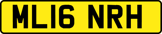 ML16NRH