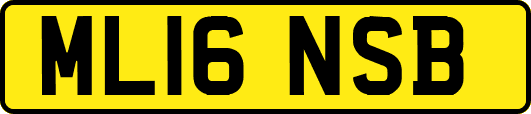 ML16NSB