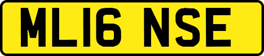 ML16NSE