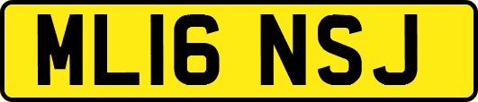 ML16NSJ