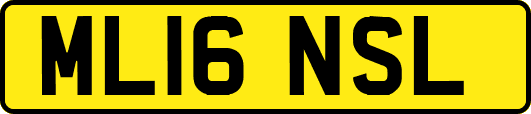 ML16NSL