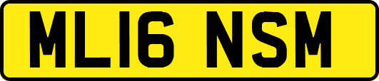 ML16NSM