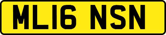 ML16NSN