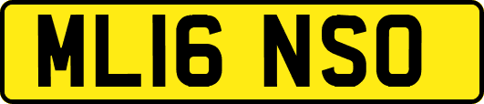 ML16NSO