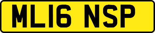 ML16NSP