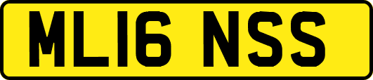 ML16NSS
