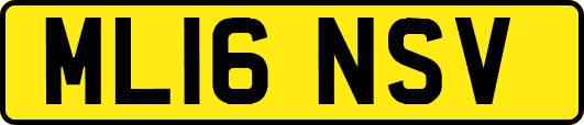 ML16NSV