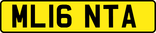 ML16NTA