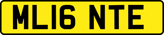 ML16NTE