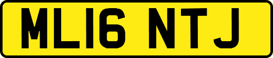 ML16NTJ