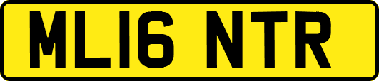 ML16NTR