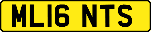 ML16NTS