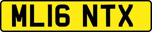 ML16NTX