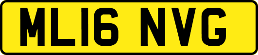 ML16NVG
