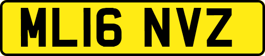 ML16NVZ