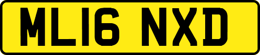 ML16NXD