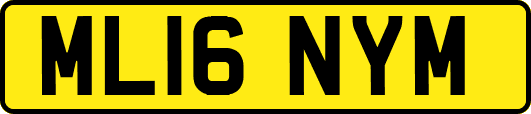 ML16NYM
