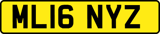 ML16NYZ