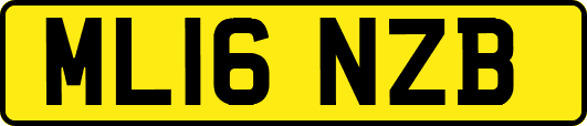 ML16NZB