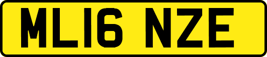 ML16NZE