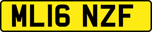 ML16NZF