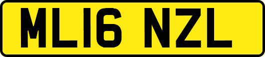 ML16NZL