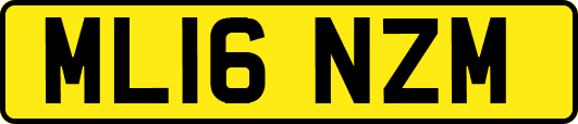 ML16NZM