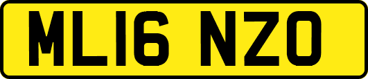 ML16NZO