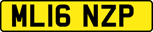 ML16NZP