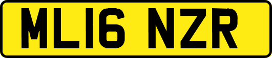 ML16NZR