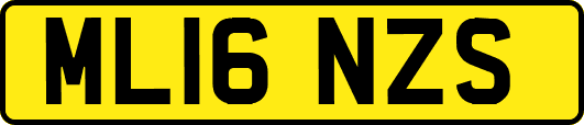 ML16NZS