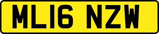 ML16NZW