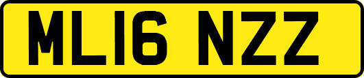 ML16NZZ